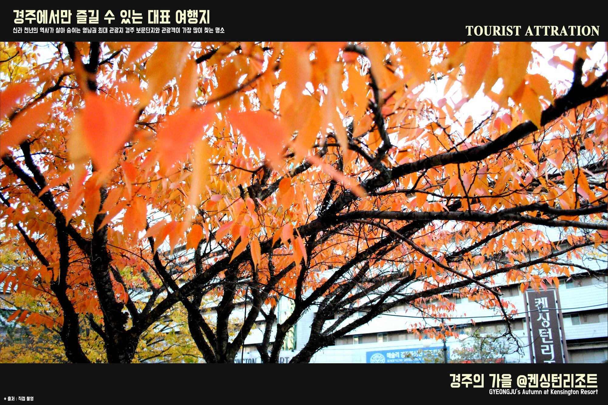 Kensington 4* Gyeongju