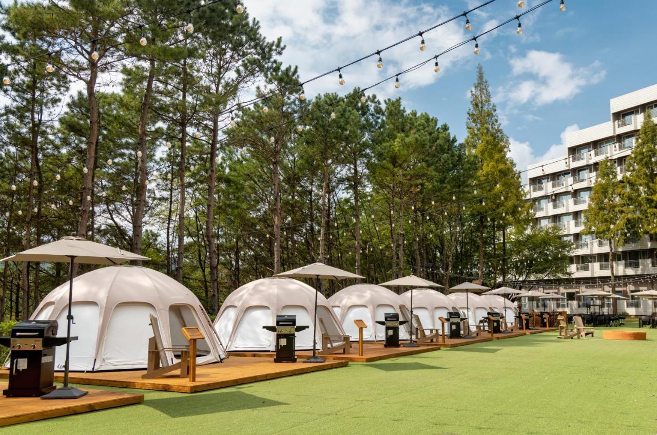 Resort Kensington 4*