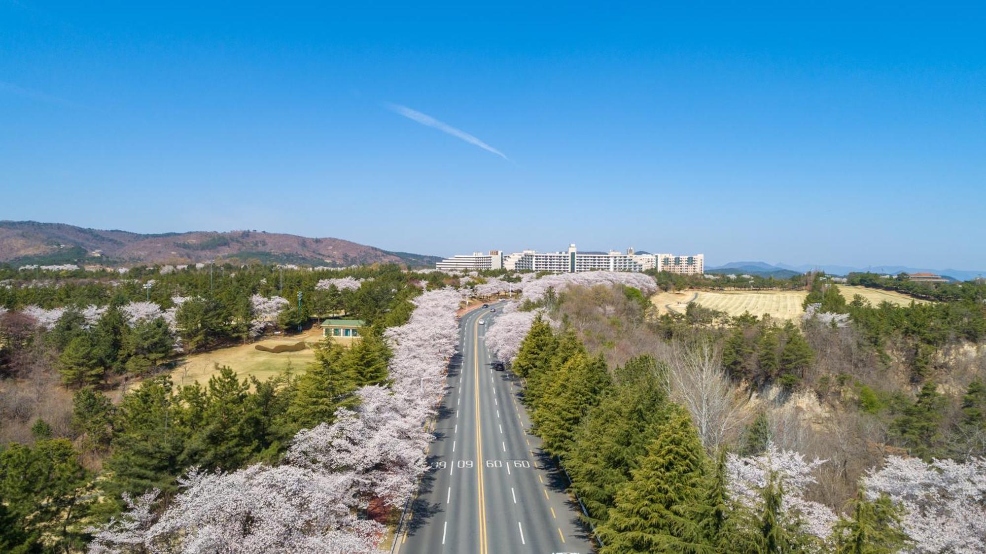 Kensington 4* Gyeongju